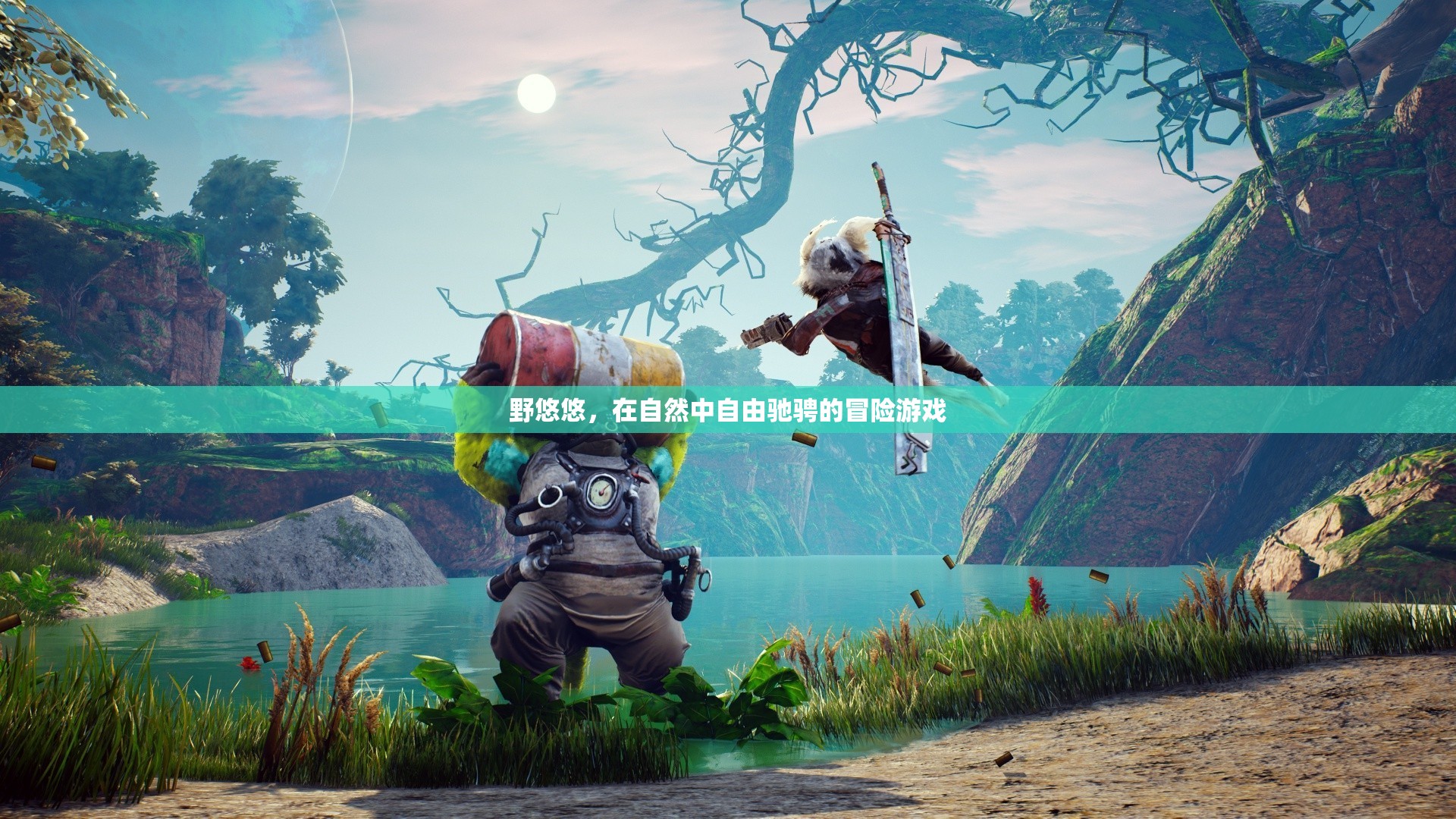 野悠悠，自然中的自由冒險