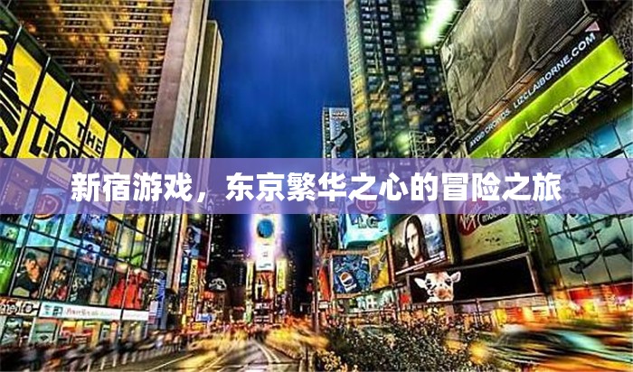 新宿游戲，東京繁華之心的冒險之旅