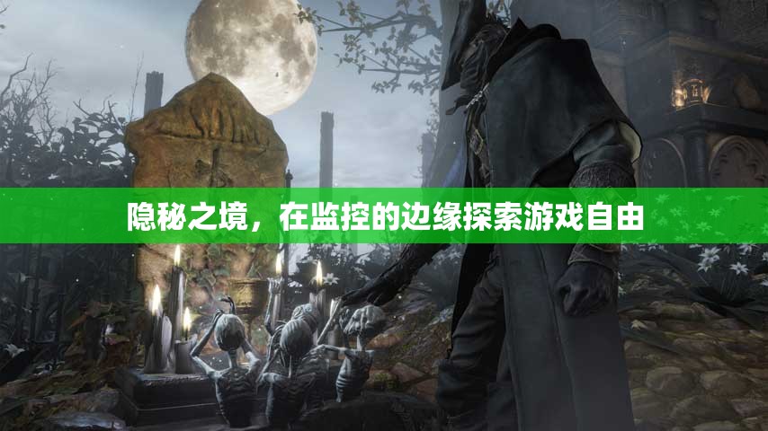 監(jiān)控邊緣的自由探索，揭秘隱秘之境的游戲魅力