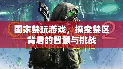禁玩游戲背后的智慧與挑戰(zhàn)，探索國家政策下的青少年成長新路徑