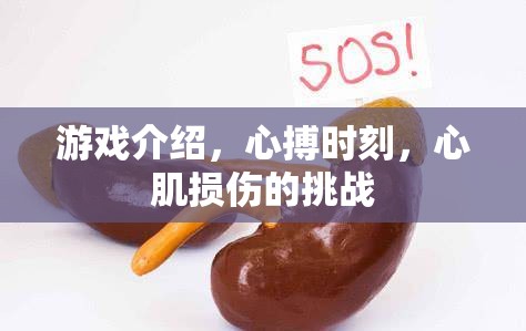 心搏時刻，挑戰(zhàn)心肌損傷的極限游戲體驗
