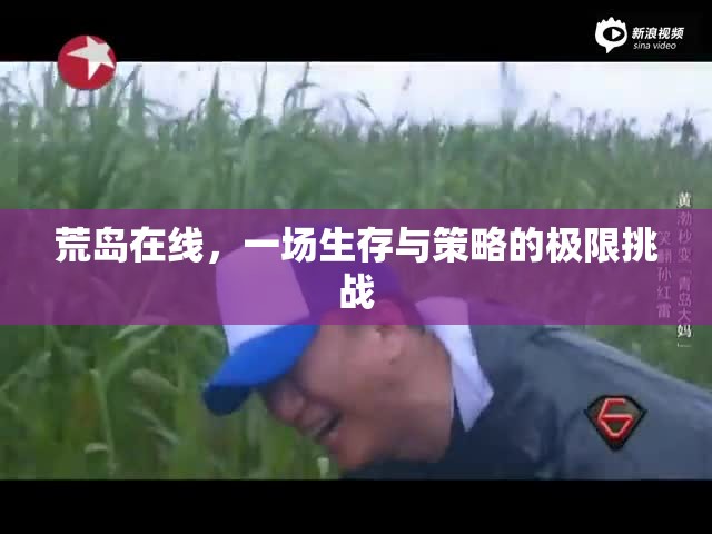 荒島在線，生存與策略的極限挑戰(zhàn)