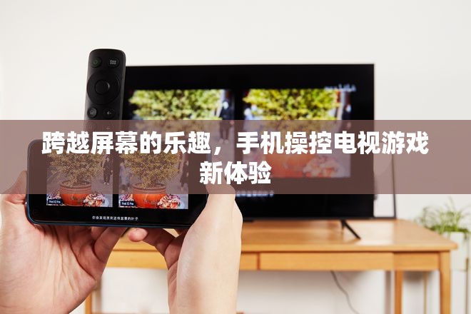 手機(jī)操控電視游戲，跨越屏幕的全新娛樂體驗(yàn)