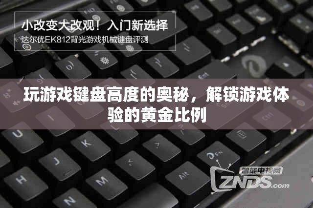 解鎖游戲體驗(yàn)的黃金比例，探究游戲鍵盤高度的奧秘