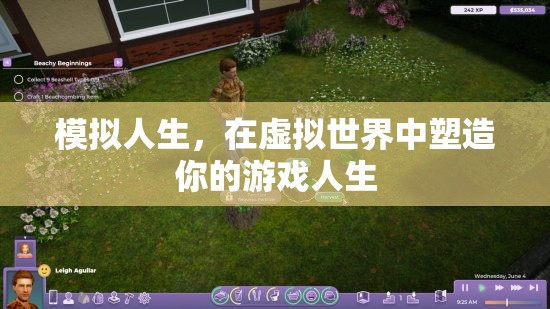 虛擬人生塑造，在模擬世界中定義你的游戲人生