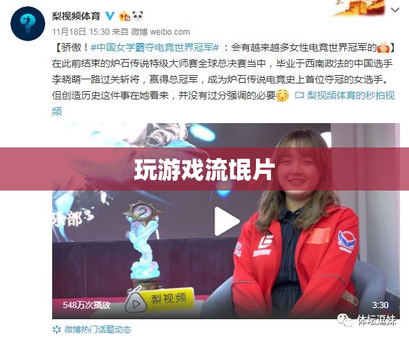 游戲中的‘流氓’行為，挑戰(zhàn)與反思