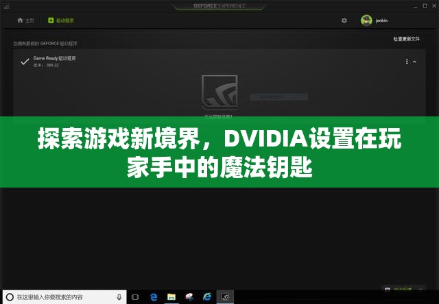 探索游戲新境界，DVIDIA——玩家手中的魔法鑰匙
