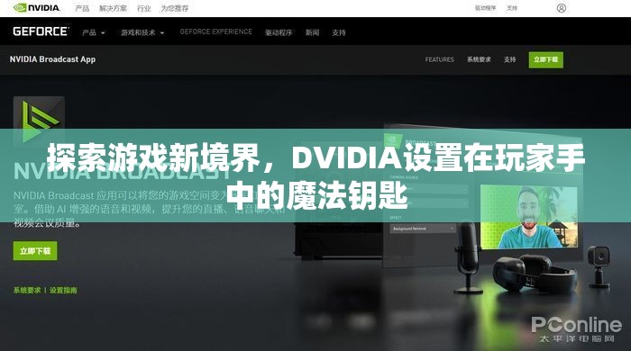探索游戲新境界，DVIDIA——玩家手中的魔法鑰匙