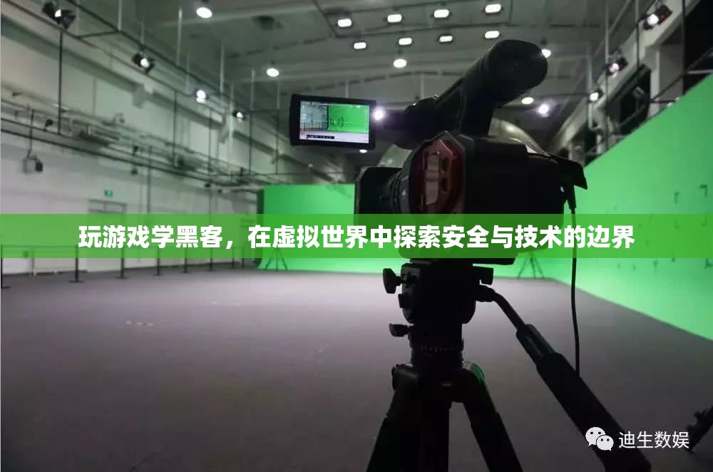 虛擬世界中的安全與技術(shù)探索，玩游戲?qū)W黑客