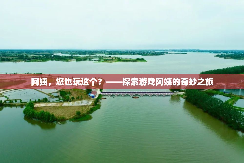 阿姨也玩這個？探索游戲阿姨的奇妙之旅