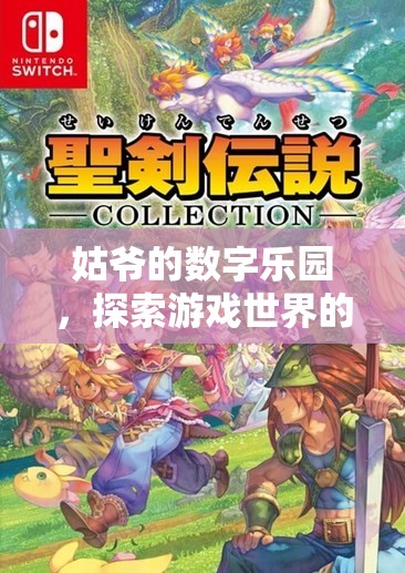 姑爺?shù)臄?shù)字樂園，解鎖游戲世界的無限可能