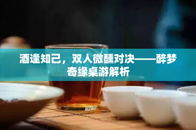 醉夢(mèng)奇緣，酒逢知己的雙人對(duì)決桌游解析