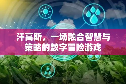 智慧與策略的數(shù)字冒險，汗高斯游戲體驗