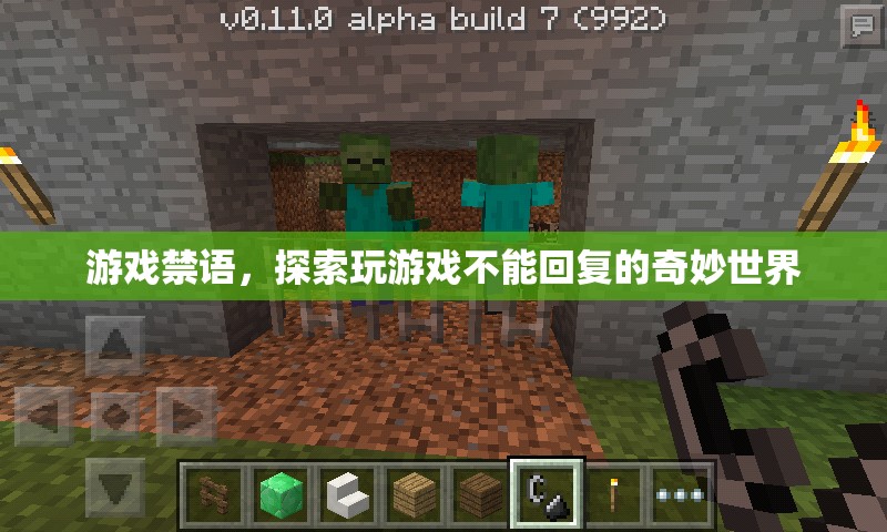 游戲禁語，解鎖不可言說的奇妙游戲世界