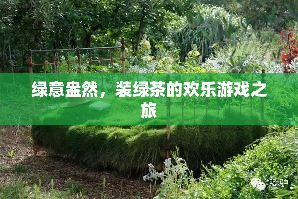 綠意盎然，裝綠茶的歡樂游戲之旅