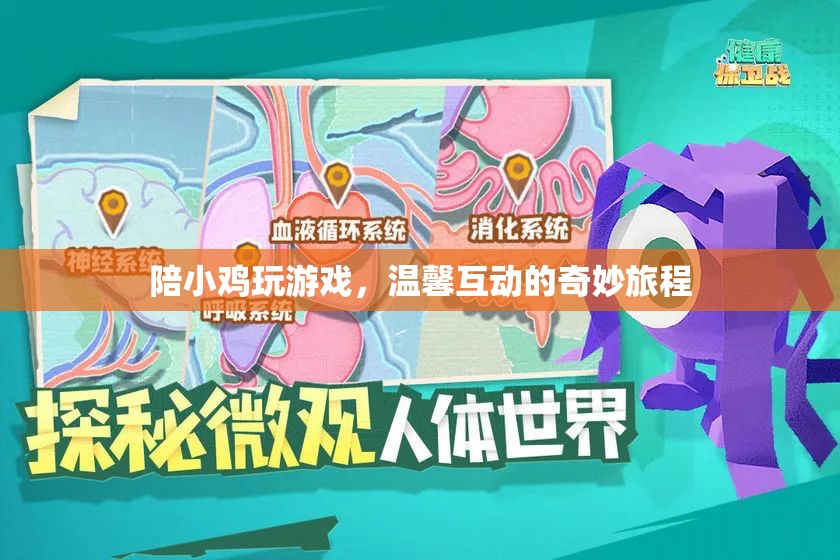 小雞伴游，溫馨互動的奇妙旅程
