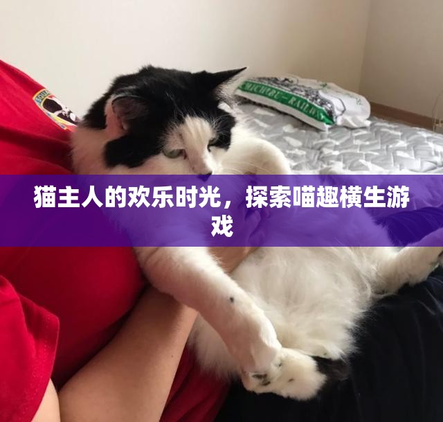 喵趣橫生，貓主人的歡樂時光探索