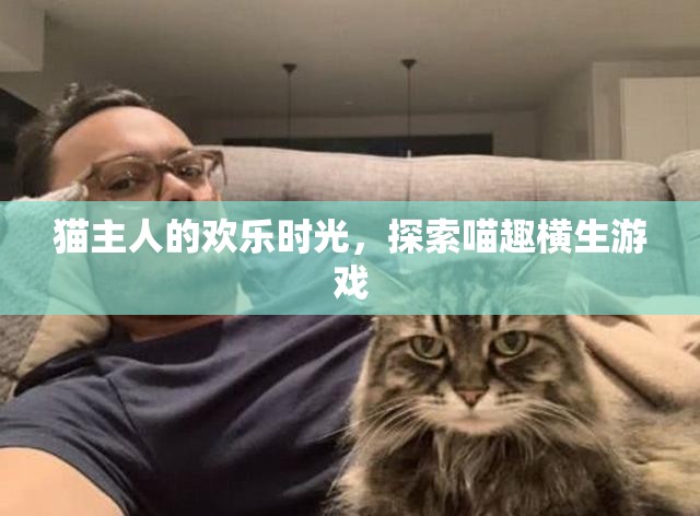 喵趣橫生，貓主人的歡樂時光探索