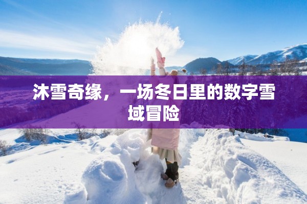 冬日奇緣，沐雪奇緣的數(shù)字雪域冒險(xiǎn)