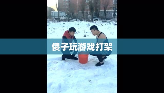 游戲中的傻子，探究游戲內(nèi)打架行為的心理與影響