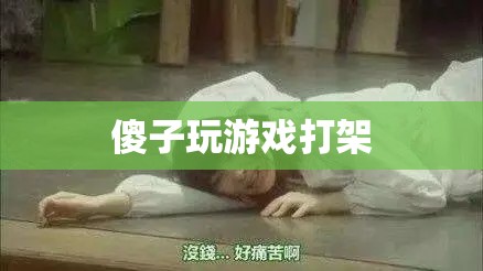 游戲中的傻子，探究游戲內(nèi)打架行為的心理與影響