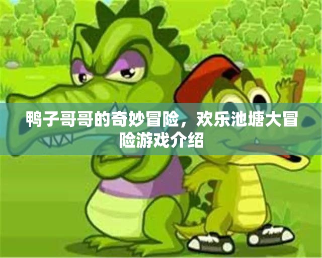 歡樂(lè)池塘大冒險(xiǎn)，鴨子哥哥的奇妙游戲之旅