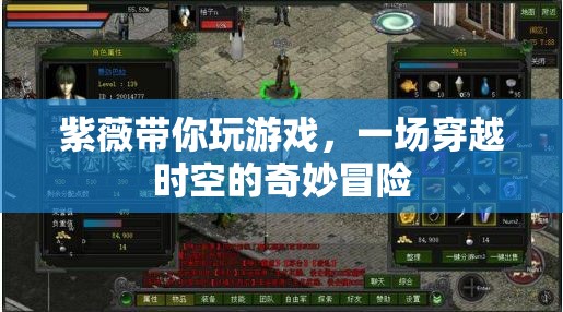 紫薇引領(lǐng)的時(shí)空之旅，一場穿越維度的奇妙冒險(xiǎn)