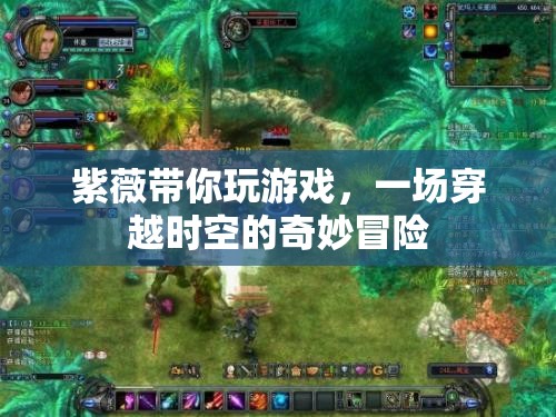紫薇引領(lǐng)的時(shí)空之旅，一場穿越維度的奇妙冒險(xiǎn)