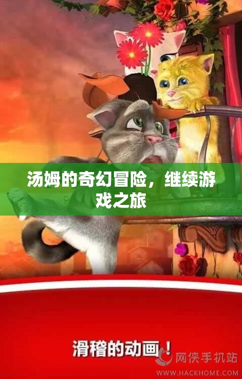 湯姆的奇幻冒險(xiǎn)，繼續(xù)游戲之旅的奇幻篇章