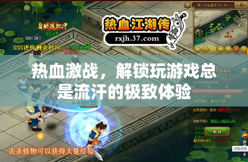解鎖極致游戲體驗，熱血激戰(zhàn)中的汗水與激情