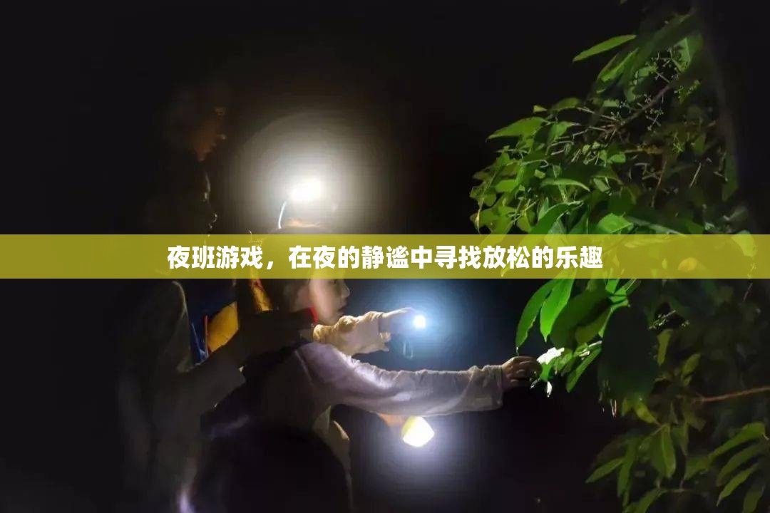 夜幕下的放松之旅，探索夜班游戲的樂趣