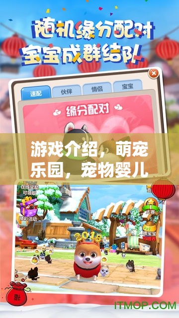萌寵樂園，寵物嬰兒的歡樂大冒險