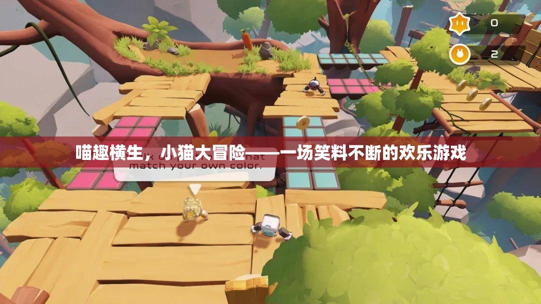 喵趣橫生，小貓大冒險的歡樂笑料之旅