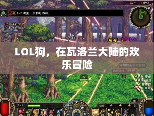 瓦洛蘭大陸的歡樂冒險(xiǎn)，LOL狗的奇幻之旅