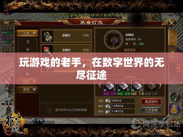 數(shù)字征途的資深玩家，游戲老手的無盡探索