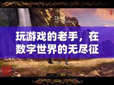 數(shù)字征途的資深玩家，游戲老手的無盡探索