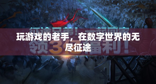 數(shù)字征途的資深玩家，游戲老手的無盡探索