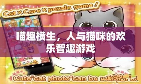喵趣橫生，人與貓咪的歡樂智趣游戲