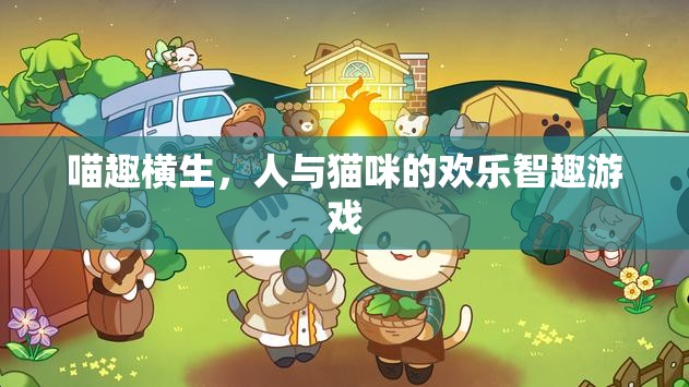 喵趣橫生，人與貓咪的歡樂智趣游戲