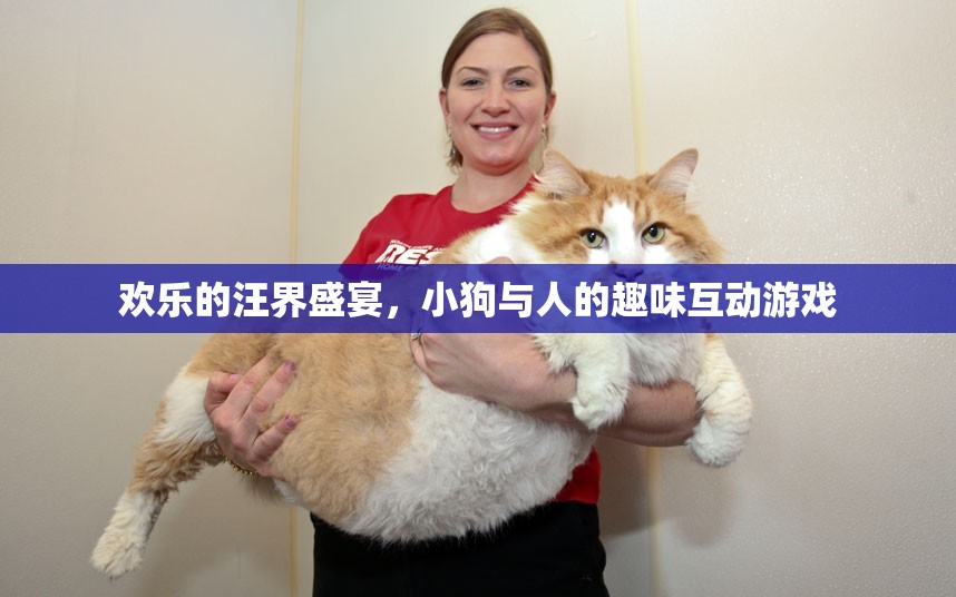 汪界盛宴，小狗與人的歡樂互動(dòng)游戲