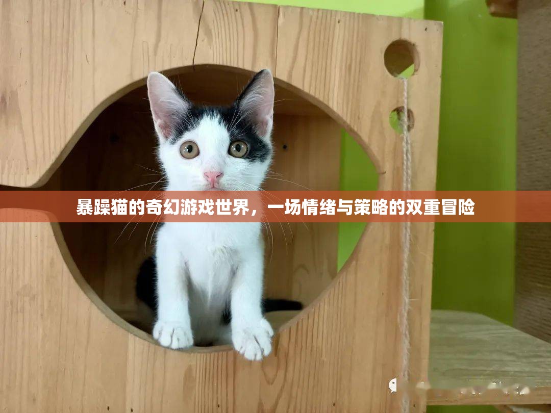 情緒與策略的雙重冒險，暴躁貓的奇幻游戲世界