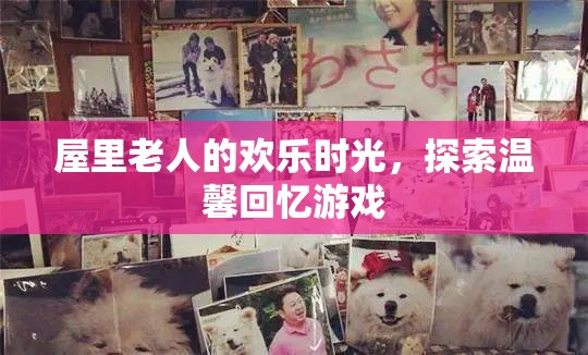 屋內(nèi)老人的歡樂(lè)時(shí)光，探索溫馨回憶的趣味游戲