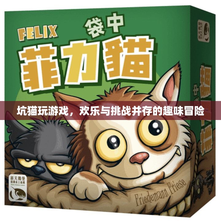 坑貓游戲，歡樂(lè)與挑戰(zhàn)交織的趣味冒險(xiǎn)之旅