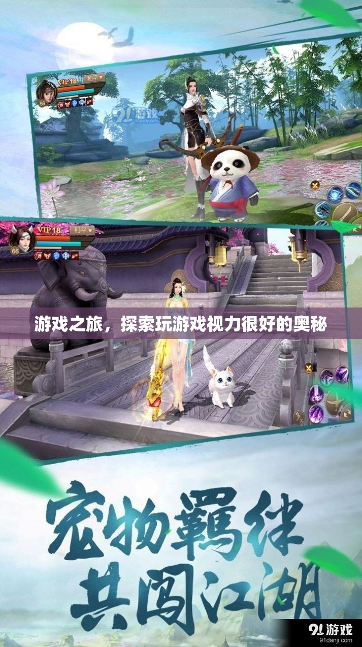 探索游戲之旅，揭秘視力良好的游戲玩家奧秘