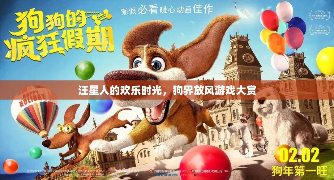 汪星人歡樂時(shí)光，狗界放風(fēng)游戲大賞