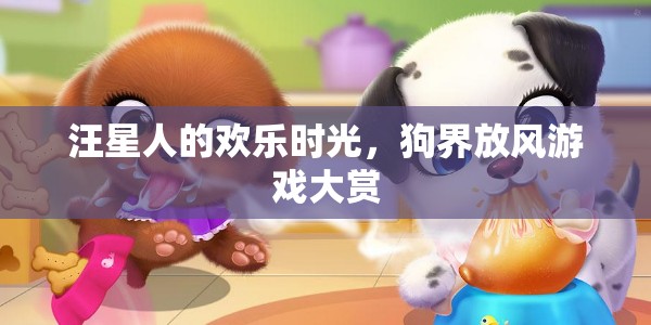 汪星人歡樂時(shí)光，狗界放風(fēng)游戲大賞