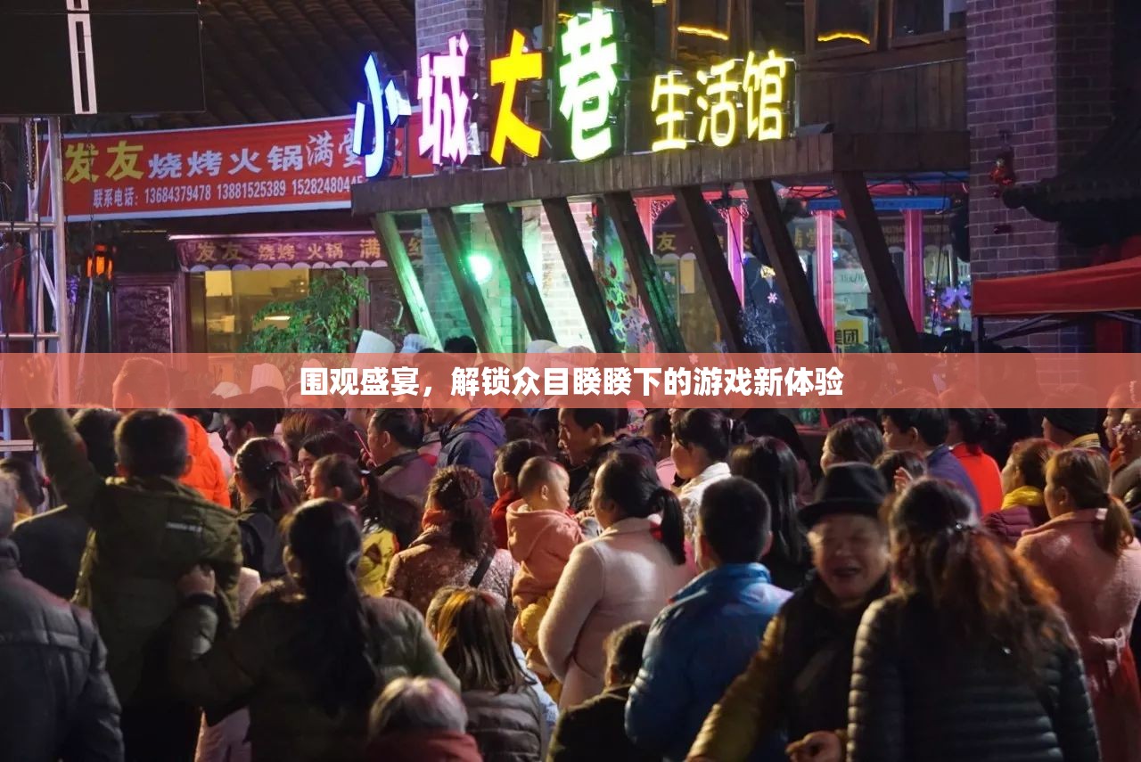 眾目睽睽下的游戲盛宴，解鎖圍觀者的新體驗(yàn)