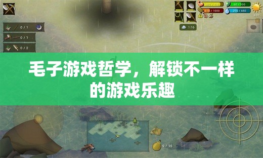 毛子游戲哲學(xué)，解鎖獨特游戲體驗的鑰匙