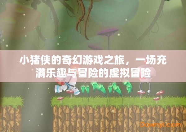小豬俠的奇幻游戲之旅，虛擬世界的樂(lè)趣與冒險(xiǎn)