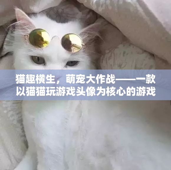 萌寵大作戰(zhàn)，貓趣橫生的游戲世界